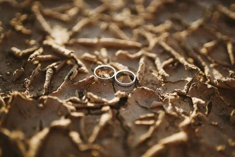 Engagement rings on muddy ground. Cracked dirty ground Stock Photos