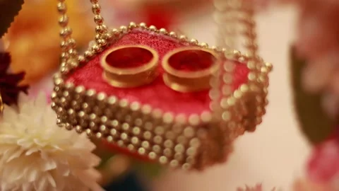 Engagement Wedding Rings Stock Footage 213503623