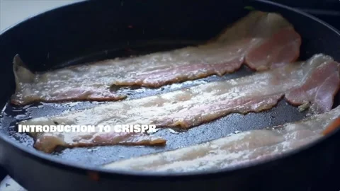 An engaging animated explainer video detailing CRISPR technology Stock Footage 307224701