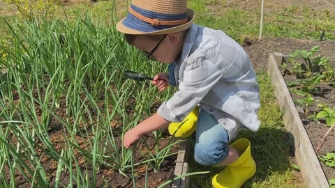 Engaging in Child Gardening During the Spring Season Nurturing Fresh Green Video stock 304730187