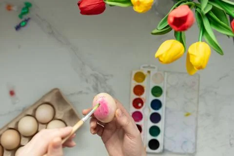 Engaging in Creative Easter Egg Decorating using Watercolors alongside lovely Stock Photos