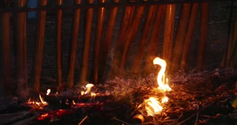 Engaging flames dance amidst twigs and ashes forest campfire nighttime natural Stock Footage 333392100