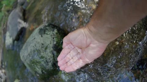 Engaging with the Refreshing Water of a Stream While Surrounded by Natures Video stock 304684465
