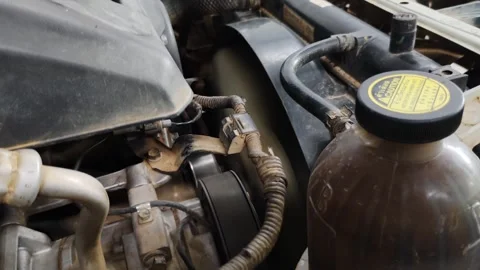 Engine Bay Showing Radiator and Coolant Components Stock Footage 307660188
