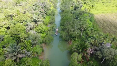 Engine boats transporting sand around the river in the waters of the forest.. Stock Footage 253636988