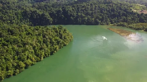 Engine echoes along the water as jet ski seamlessly cuts through the river Stock Footage 263402991