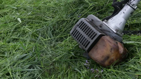 The engine of the gasoline mower is running. Mowing the grass. Stock Footage 194968893