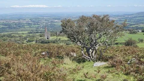 Engine house and tree Fotos Stock