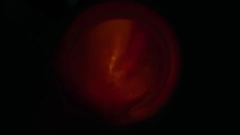 Engine macro shots: fuel running through tube/pipe Stock Footage 248242484