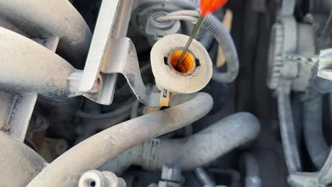 Engine oil dipstick is pulled from its tube during a car maintenance check, Vídeos de archivo 337114150