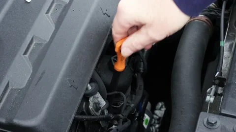 Engine oil level on a car being checked Video stock 169171339