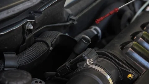 Engine oil level check Stock Footage 76989022