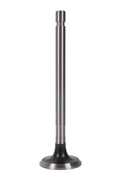 Engine valve isolated on white background. Stock Photos