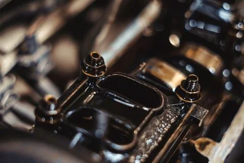 Engine valve in oil Stock Photos