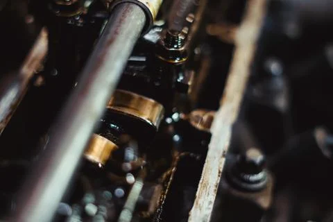 Engine valve in oil Stock Photos