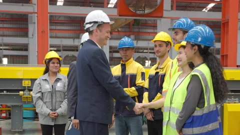 Engineer Auditing Factory Operations with Industrial Team Stock Footage 342637870