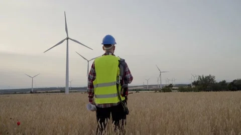 Engineer back turned looking at wind farm installations in open field. Qualified Stock Footage 240083905