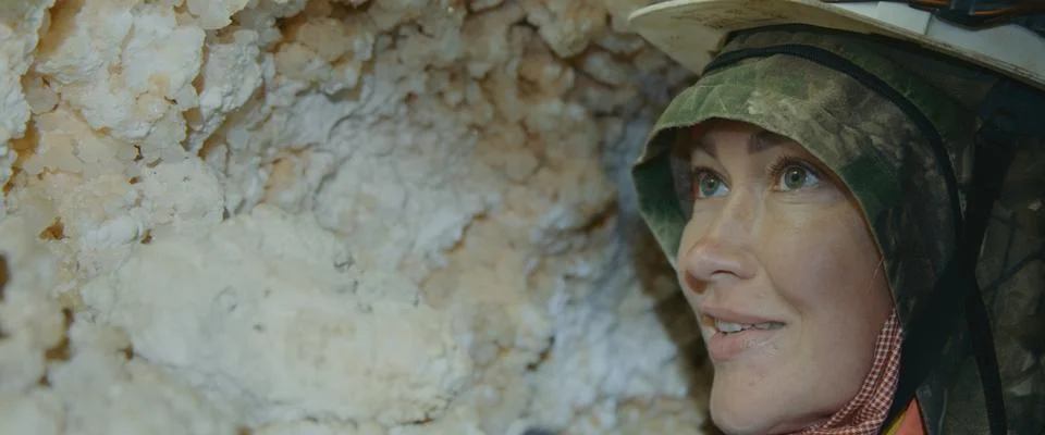 Engineer check stalactites. Scientist exploring of cave for geology science Stock Photos