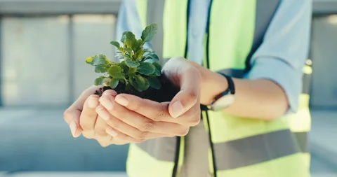 Engineer, closeup and hands with plant, outdoor and sustainable on construction Stock Footage 345647931