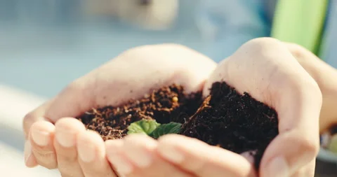 Engineer, closeup and hands with soil, outdoor and sustainable on construction Stock Footage 345648629