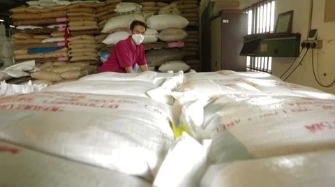 Engineer Considers The Number Of Sacks Video stock 61491031