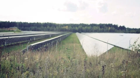 Engineer discusses with a man the work of the solar battery Stock Footage 101023166