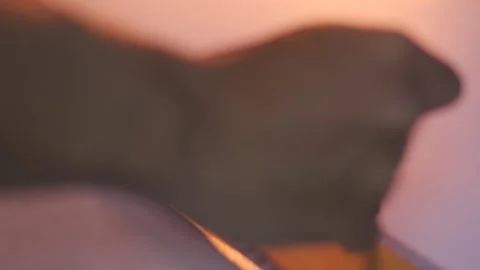 Engineer drawing in paper using ruler 動画素材 232237158