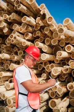 Engineer in front of stack of timber Stock Photos