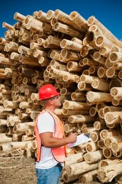 Engineer in front of stack of timber Stock Photos