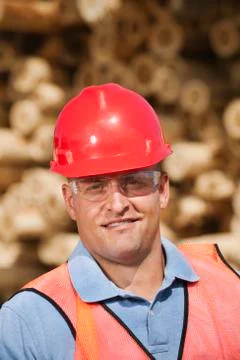 Engineer in front of stack of timber Stock Photos