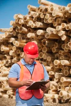 Engineer in front of stack of timber Stock Photos