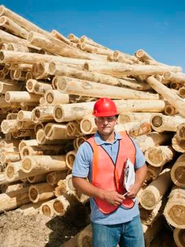 Engineer in front of stack of timber Stock Photos
