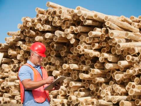 Engineer in front of stack of timber Stock Photos