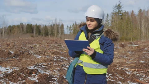 Engineer in hard hat uses tablet an examining clear felled forest Stock Footage 150830753