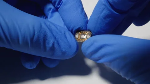 An engineer holds a prototype implantable chip in his hands. Human modification Stock Footage 184743837