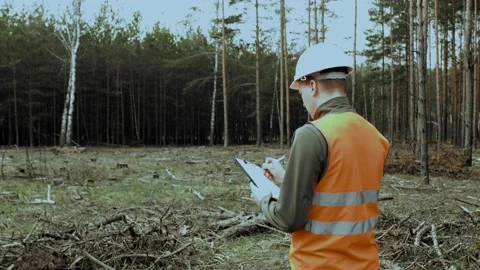 Engineer inspector in forest writes data into planchette about state after Stock Footage 130626891