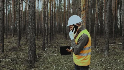 Engineer inspector talking on phone about situation in forest before logging Stock Footage 130790239