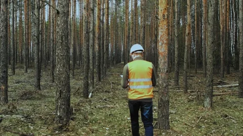 Engineer inspector walks, looks, checks state of forest and writes data into Stock Footage 130691763
