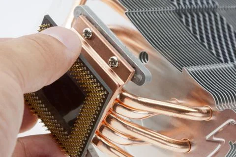 Engineer installing computer processor 库存照片