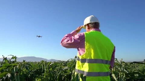 Engineer piloting a drone for the quality inspection and irrigation system .. Stock Footage 228984985