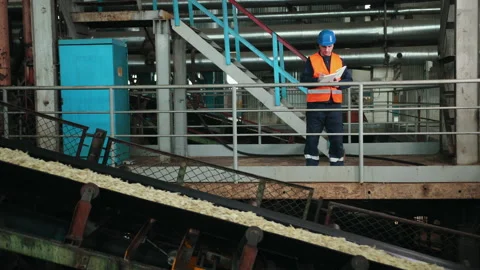 Engineer in a protective helmet checking quality of crop in factory sugar-beet Stock-Footage 145769970