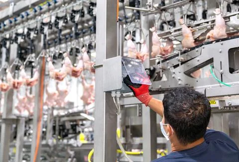 Engineer on switch test run chain conveyor. Stock Photos