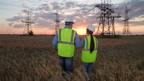 Engineer with tablet talks to manager in field by power transmission lines Stock Footage 273404203