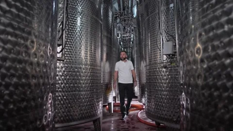 Engineer technologist inspects and diagnoses equipment at a wine plant Stock Footage 270058436