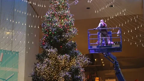 Engineer uses crane for tall christmas tree Stock Footage 165476526
