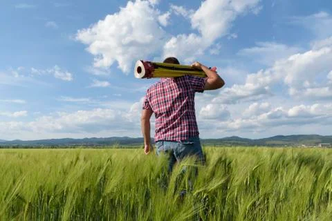Engineer Wheat  Geodesy Stock Photos