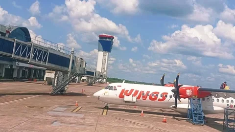 Engineer of Wings Air is currently performing aircraft maintenance Stock-Footage 311308130