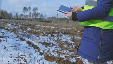 Engineer woman work on digital tablet in a clear felled forest close up Stock Footage 150828469