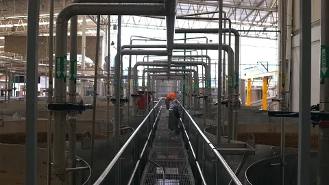 Engineer working in Tequila Stock Footage 122384143