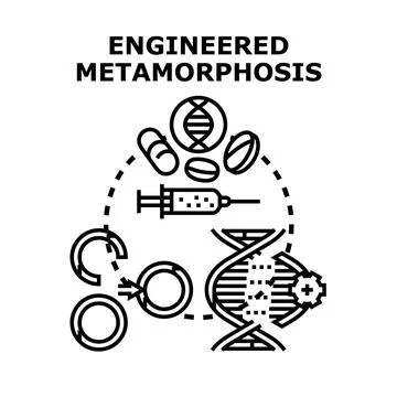 Engineered metamorphosis changing dna structure concept Illustrazione stock